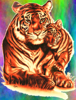 Kaylee Powell avatar