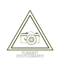 Marina Arbogast avatar