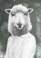 Luzinha Faisca avatar