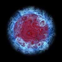 David Donnelly avatar