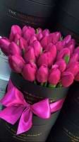 Marwa Elansary