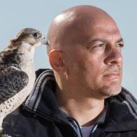 Wissam Chehade avatar