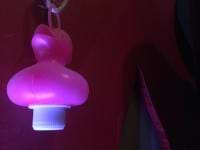 Anton Pycarelle avatar