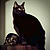 Spectrum Cat