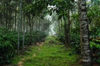 Nishita Vaddadi avatar