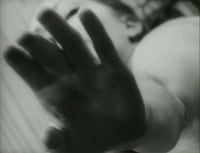 Anni Dimitrova avatar