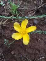 Vijdan23 Ahmed avatar