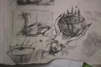 Meida Kniukštaitė avatar