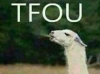 Mohamed Nadjib DAHMANE avatar