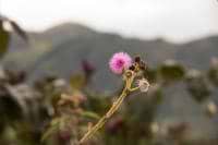 Jeff Hernandez avatar