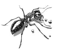 Pablo Rodriguez avatar