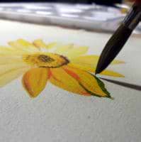 Shweta Mahajan avatar