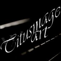 Titusmage art