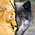 Passport to Wildlife