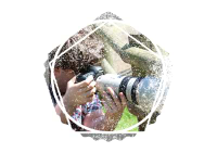 Curtis Beadle avatar