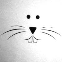 Eric Dreibholz avatar