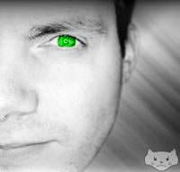 Dominik Berndt avatar