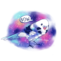 Ema Brumercek avatar