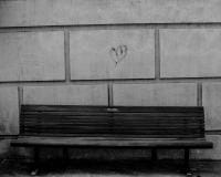 Taylor Memmott avatar