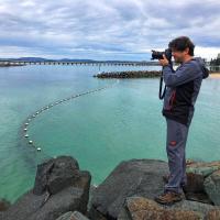 Adrian Bogdan Vasile avatar