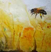 Trinidad Capilla avatar