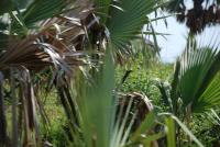 Harvey McGuire avatar