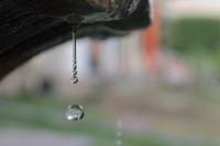 Diana Judith Núñez Rodríguez avatar