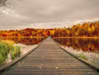 Bernie Bertrand avatar