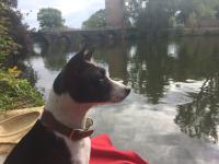 santiago figueroa avatar