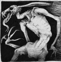 Dora Kata Jakobovics avatar