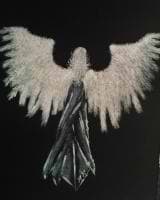 Merryn Marshall avatar