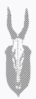 m b