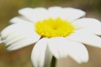 Namal Fernando avatar