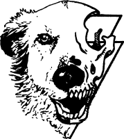 5beaad728f432 avatar