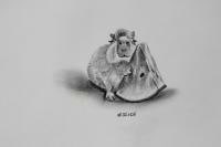 Virag Hortobagyi avatar