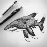 Selina Murphy avatar