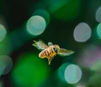 Beverly Jones avatar