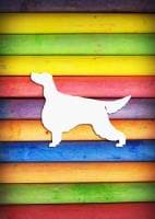 Alžbeta Mičeková avatar