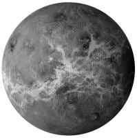 Larisa Constantin avatar