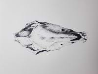 5be599faaf66e avatar