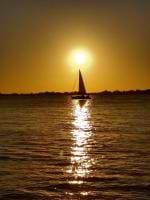 Bruno Sant'Anna avatar