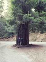 Manuel Alvarez avatar