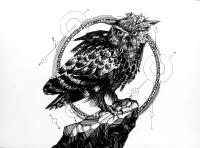 Abdullah Hashmi avatar