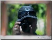 Denise Kleinhans avatar