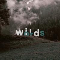 Silvana De Paola avatar