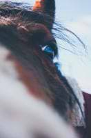 Charlie Wrightson avatar