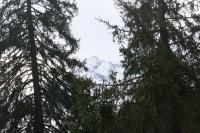 Colin Lefevre avatar