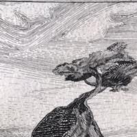 Ulises Ivan Gallardo Perez avatar