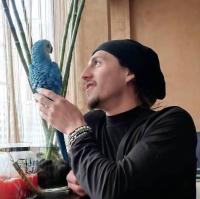 Nikola Markovic avatar