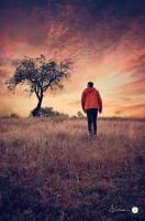 Adrian Limani avatar